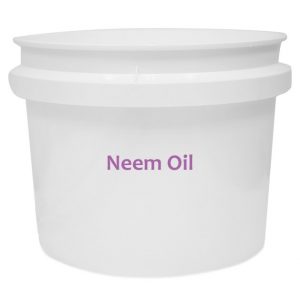 Neem Oil - Image 3