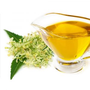 Neem Oil - Image 4